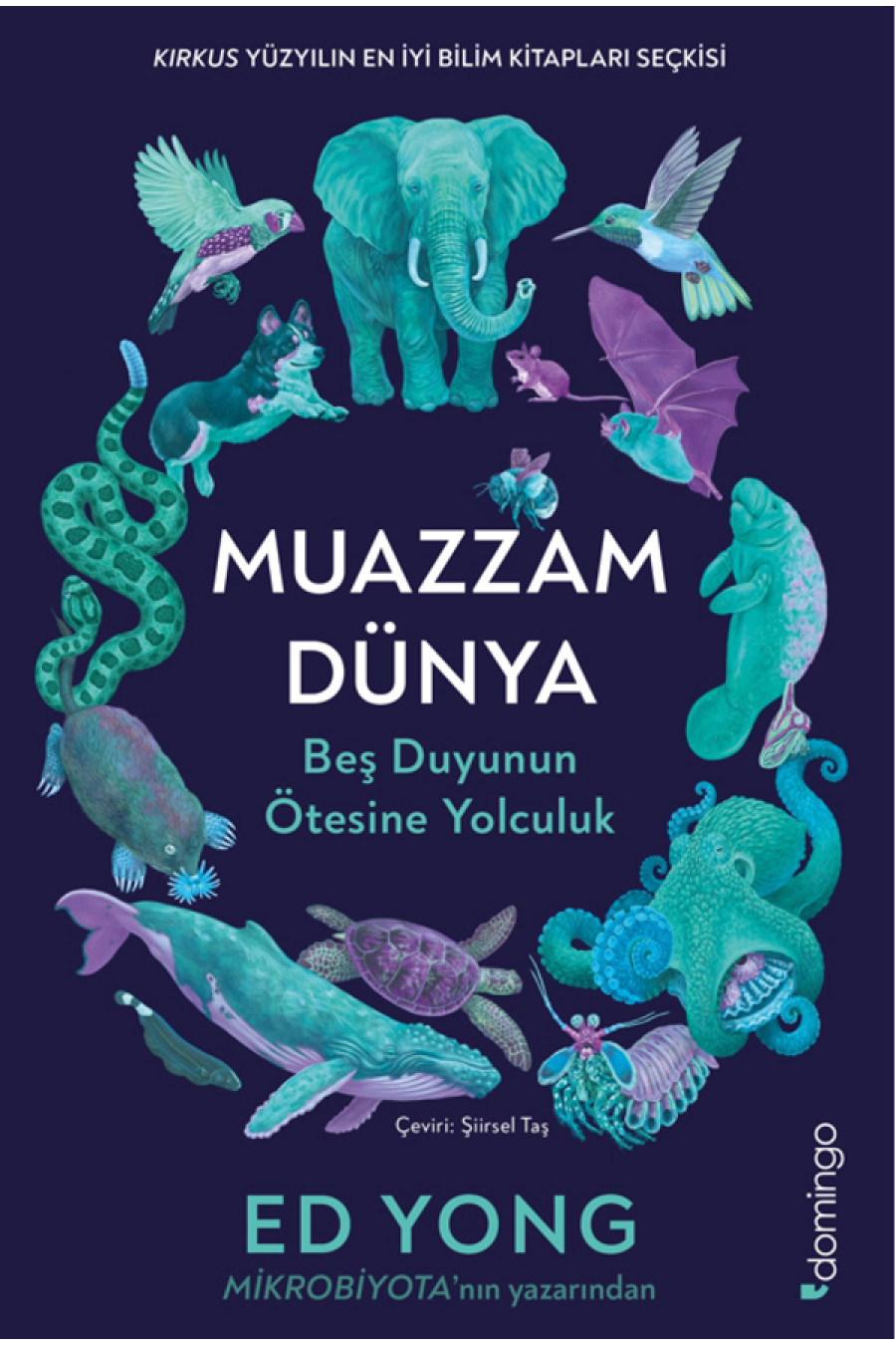 Muazzam Dünya: Beş Duyunun Ötesine Yolculuk